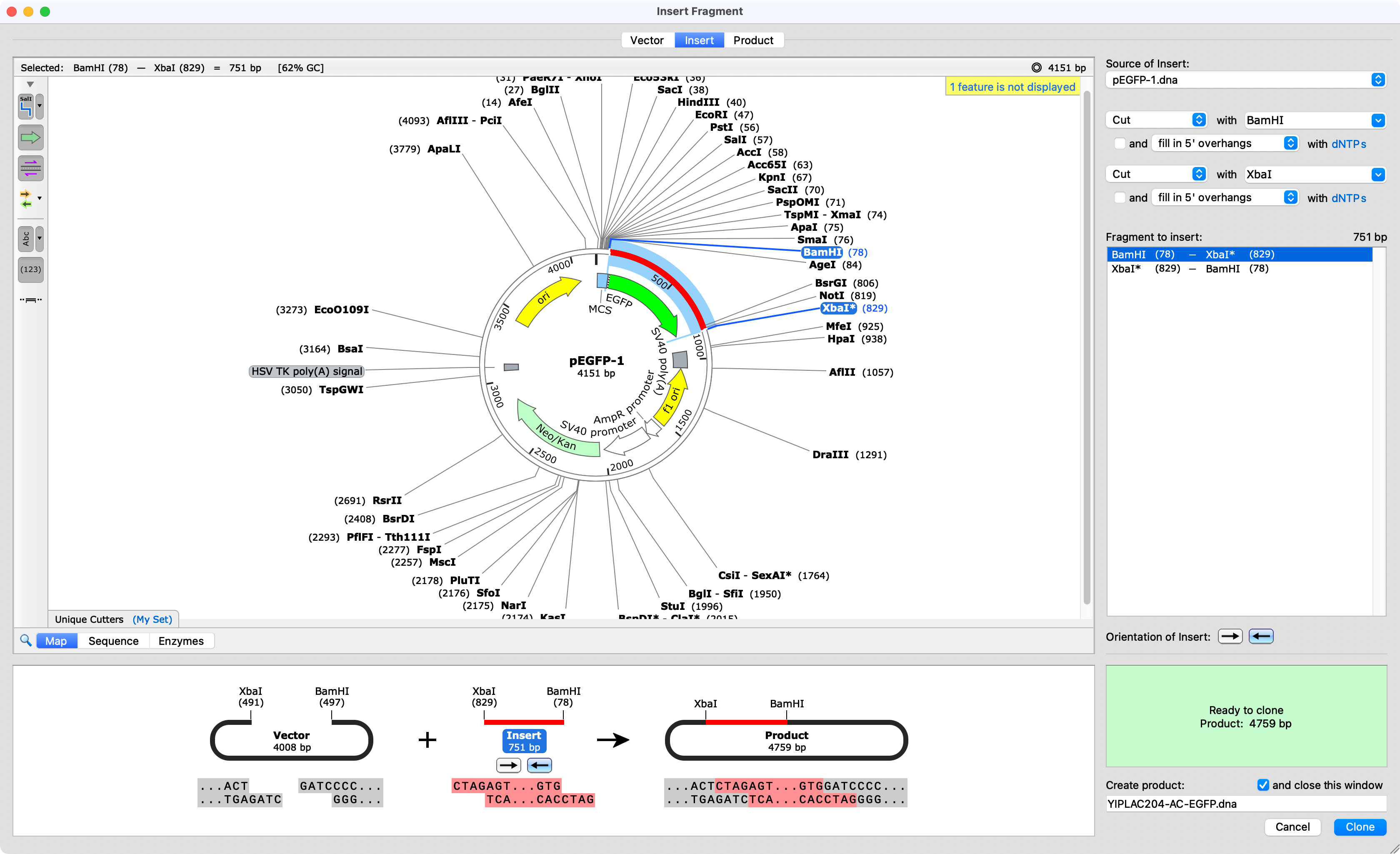 SnapGene